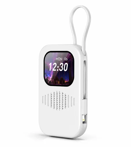 Batterie Externe Connectée avec Écran Intelligent (SEN)