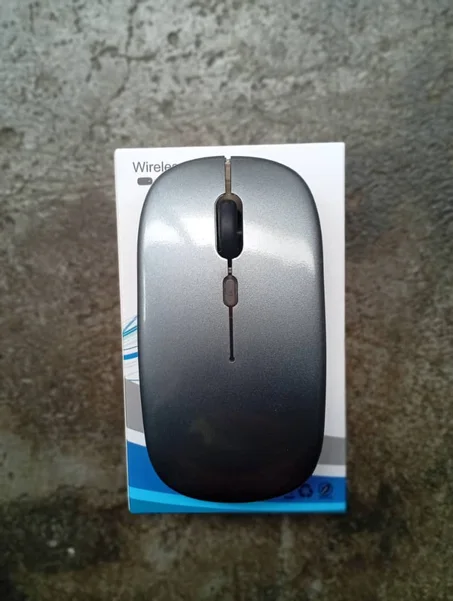 Souris rechargeable sans fil