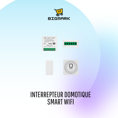 SMART INTERRUPTEUR WIFI