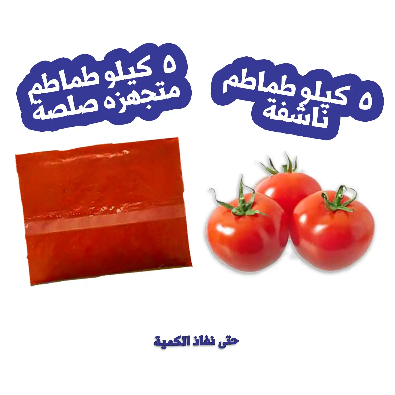 طماطم - 5 كيلو  + 5 كيلو طماطم متجهزه صلصه