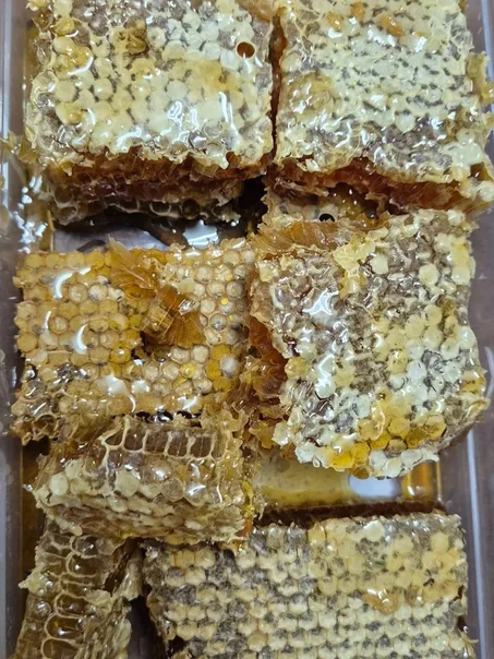 الشهد الحر الأصلي وحبوب لقاح