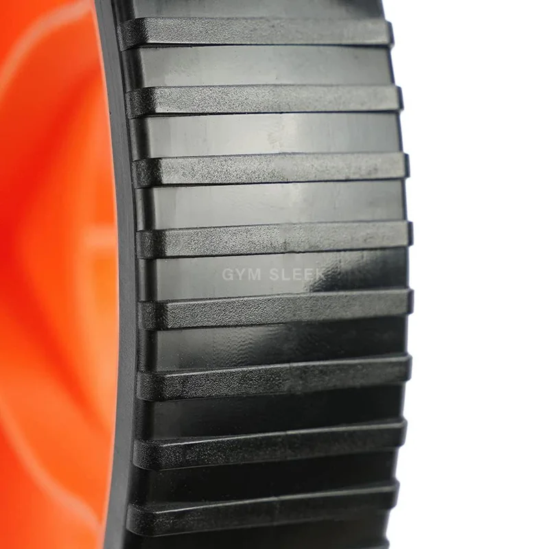 Roue Abdominale de Sport – Entraînement Complet Core et Haut du Corps