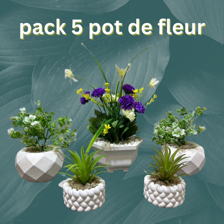 pack 5 pot de fleur decor