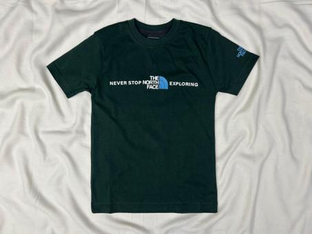 T-SHIRT THE NORTH FACE VERT
