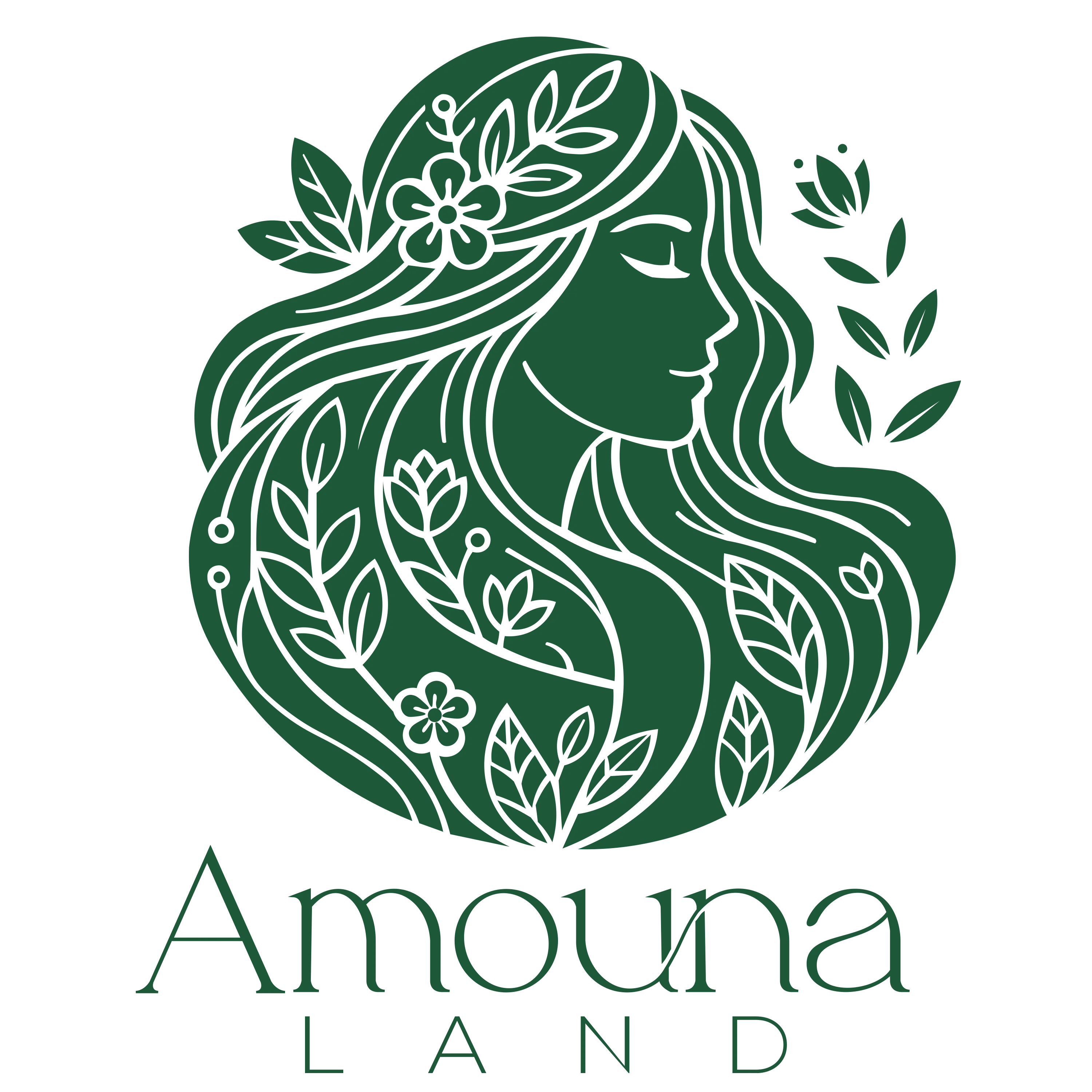 AmounaLand