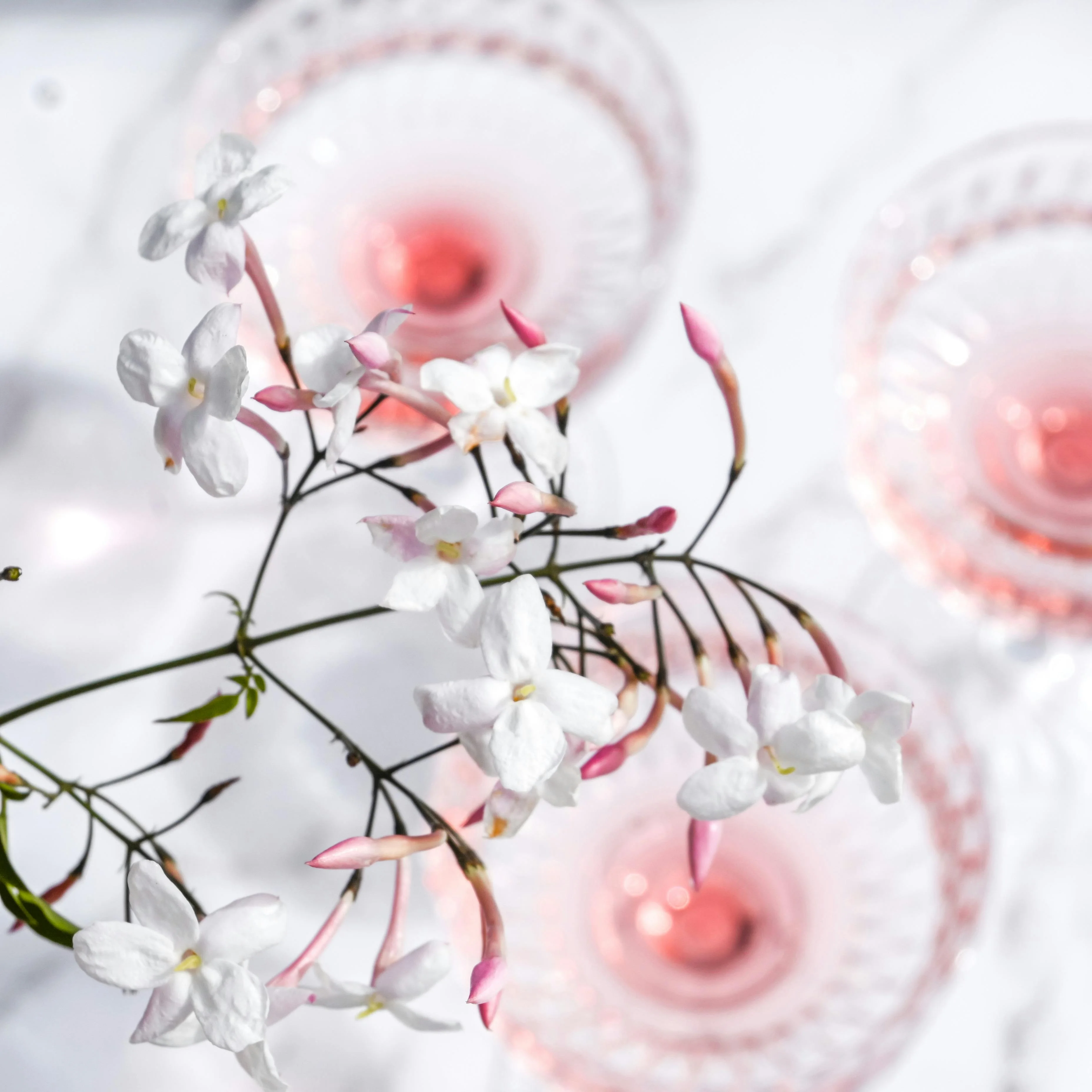 الجمال والعطور