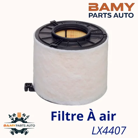 LX4407 / C17011 / A1818 / F026400422 / 8W0133843A / VOLKSWAGEN / AUDI / SEAT / SKODA