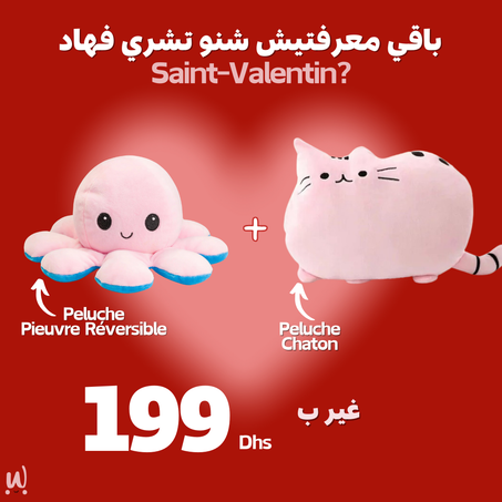 Offre Saint Valentin (Pieuvre + Chaton)