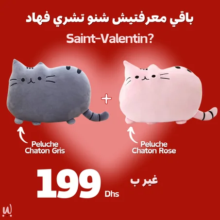Offre Saint Valentin (Chaton Rose + Gris)