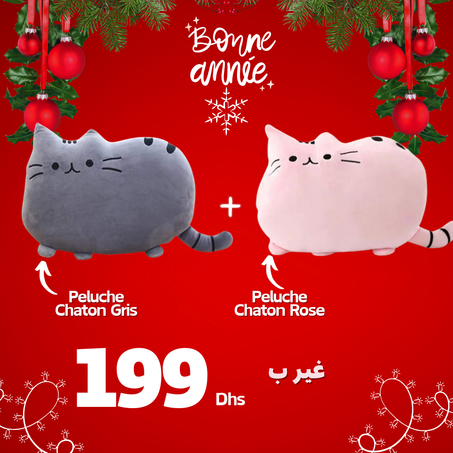 Duo de Nouvel An (Chaton Gris + Rose)