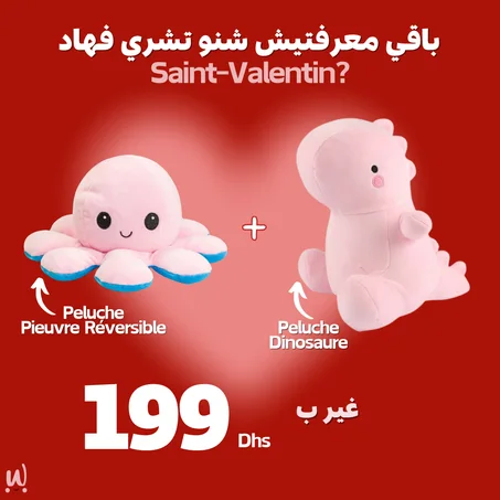 Offre Saint Valentin (Pieuvre + Dino)