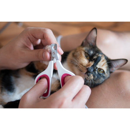 قلامة الأظافر الحيوانات