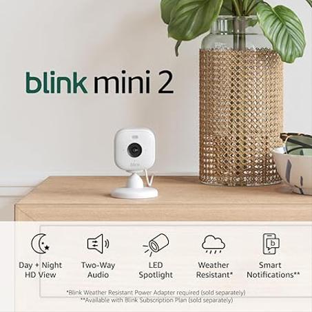 Blink Mini 2 (nuevo modelo): cámara de seguridad HD con visión nocturna a color, detección de movimiento, audio bidireccional y luz de enfoque. Ideal para el hogar y mascotas