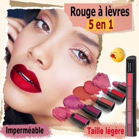 Rouge à lèvres compact Velour Mat 5 en 1