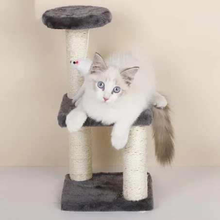 لعبة إستمتاع القطط