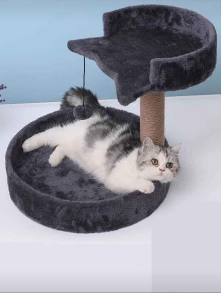 وظيفة خدش القط