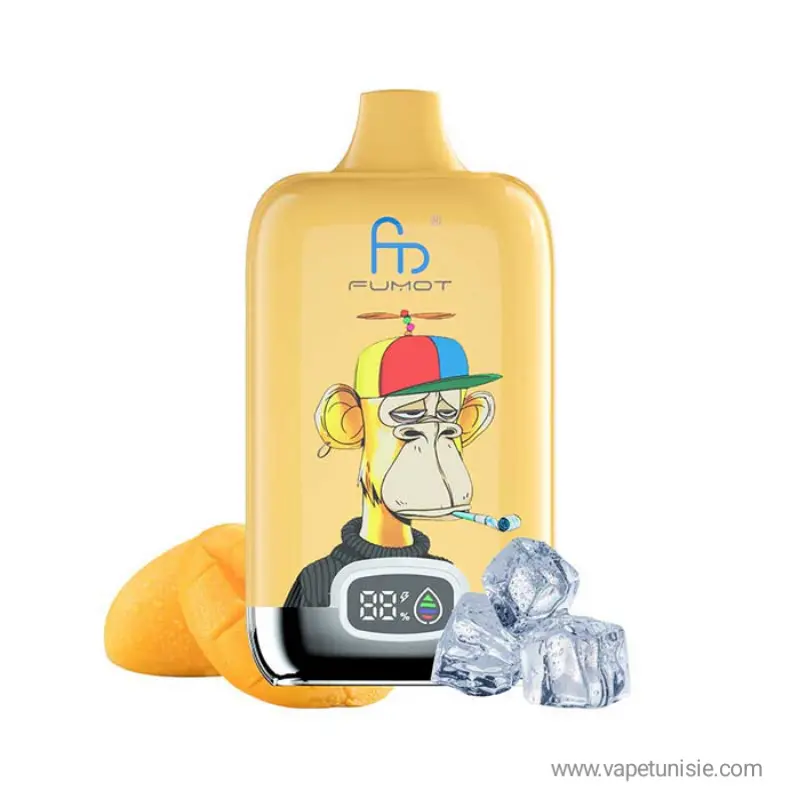 RandM Fumot Digital Box 12000 Puffs Tunisie - 2% Nic Rechargeable Type C ,  Ecran Numrique