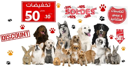 عروض خاصة و تخفيضات