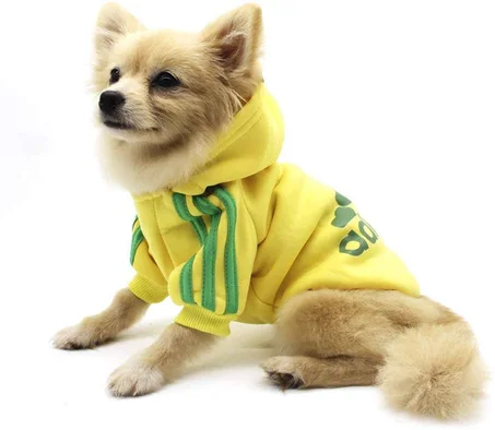 ملابس الحيوانات الأليفة اللون الأصفر، Adidog