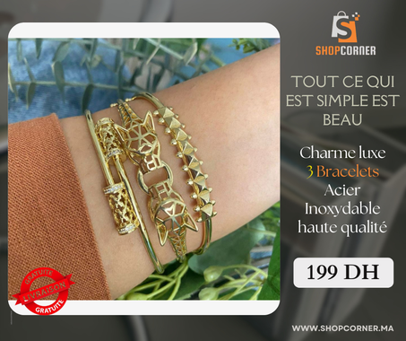 Charme luxe 3 Bracelets Acier Inoxydable  haute qualité
