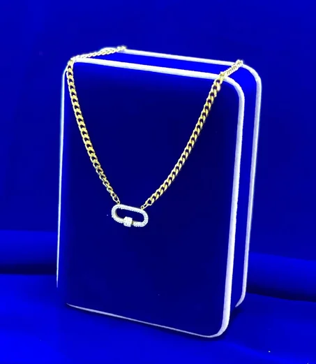 Chaine de luxe en acier inoxydable