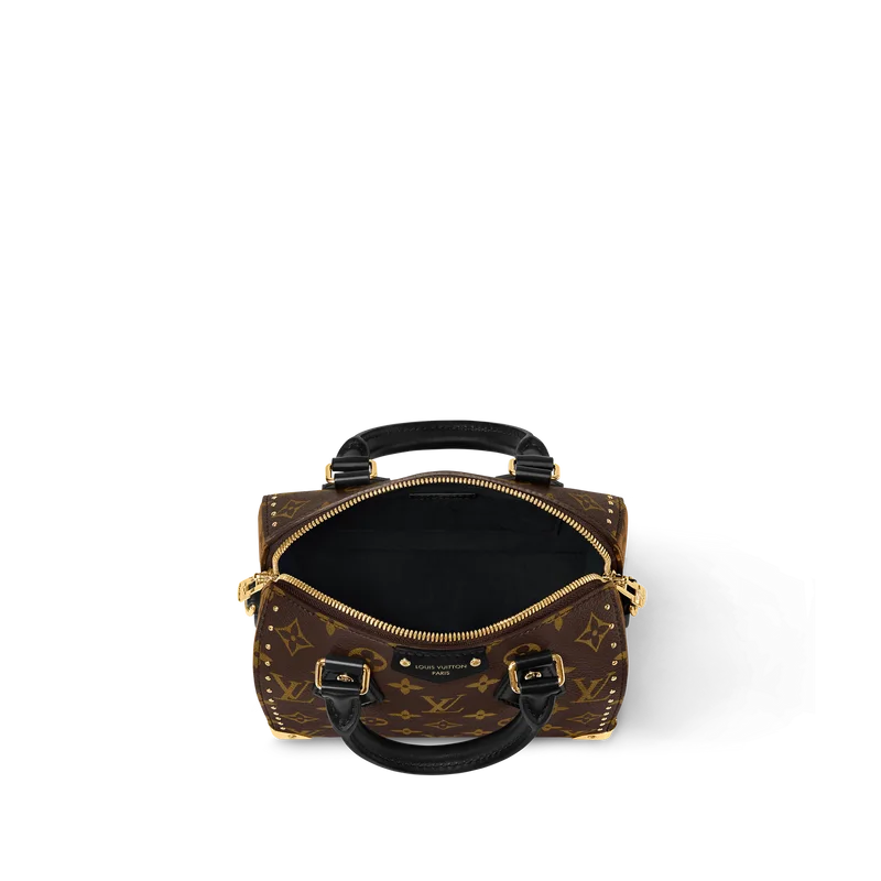 Sac Louis Vuitton - Speedy Trunk 20