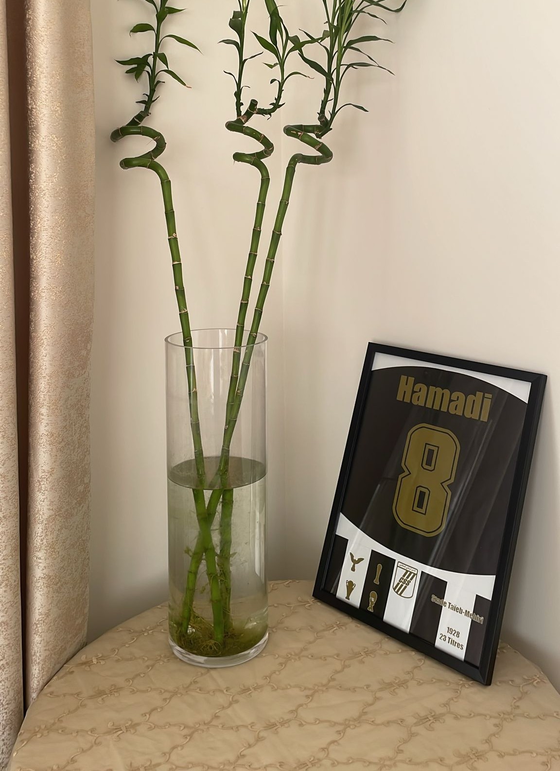 Tableau Personnalisé – Club Sportif Sfaxien