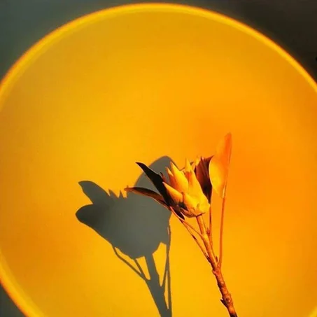 جهاز ضوء غروب الشمس Sunset lamp