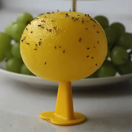 كرة صيد الذباب اللاصقة Cithway™