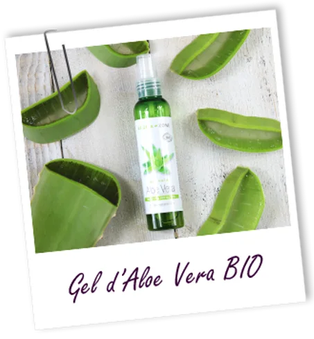 GEL NATIF D'ALOE VERA BIO 100ml aroma zone