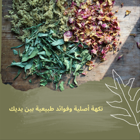 الأعشاب  -  les herbes
