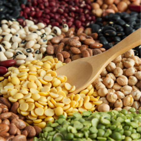 القطاني - légumineuses