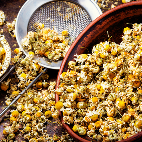 بابونج   -  Camomille