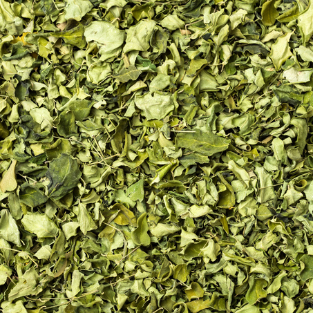 المورينغا المجففة الطبيعية  -  Moringa séchée naturelle