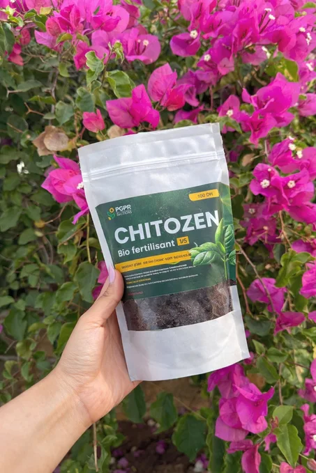 Compost Sac Chitozen