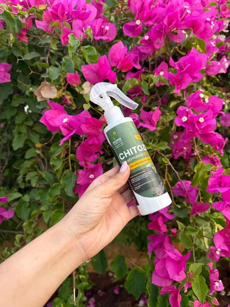 Spray Chitozen