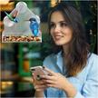 stores/fed7ccf626212aece6d738b81249376d/products/bMnwSBcWgaepI0nqD5ZHdgxWDhAMSJnREKp77Rwc.jpg