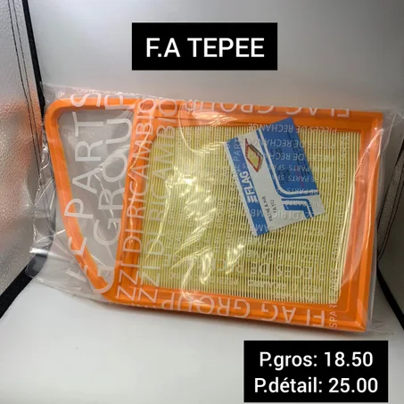 Filtre à air PEUGEOT/CITROËN TEPEE
