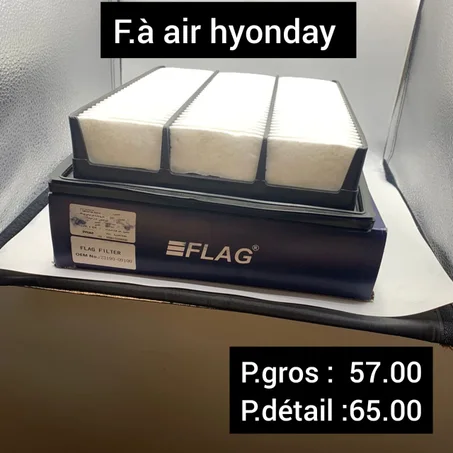 Filtre à air HYUNDAI
