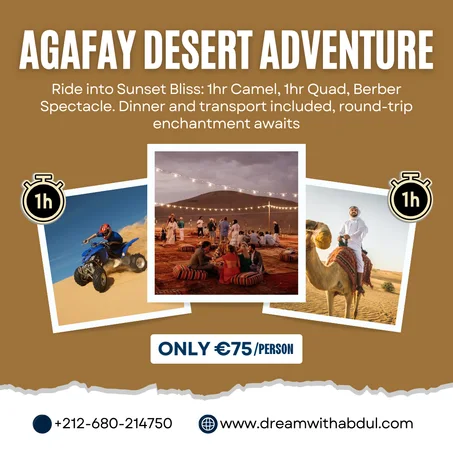 Agafay Desert Bliss: 1hr Camel & 1hr Quad, Sunset & Berber Dinner Show