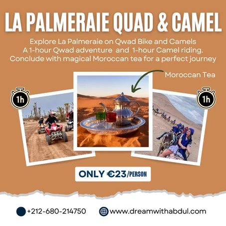 Quad and Camels Bliss in La Palmeraie: An hour Adventure
