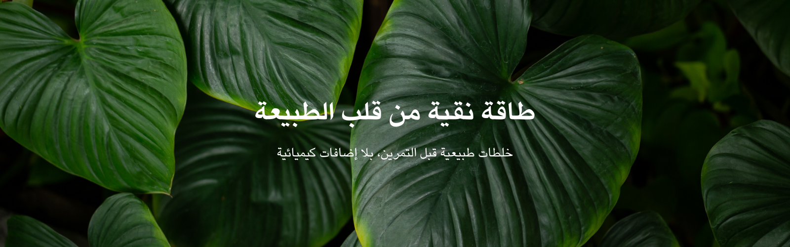 slider-image