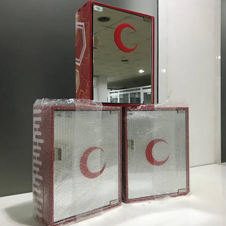 BOÎTE À PHARMACIE MURALE