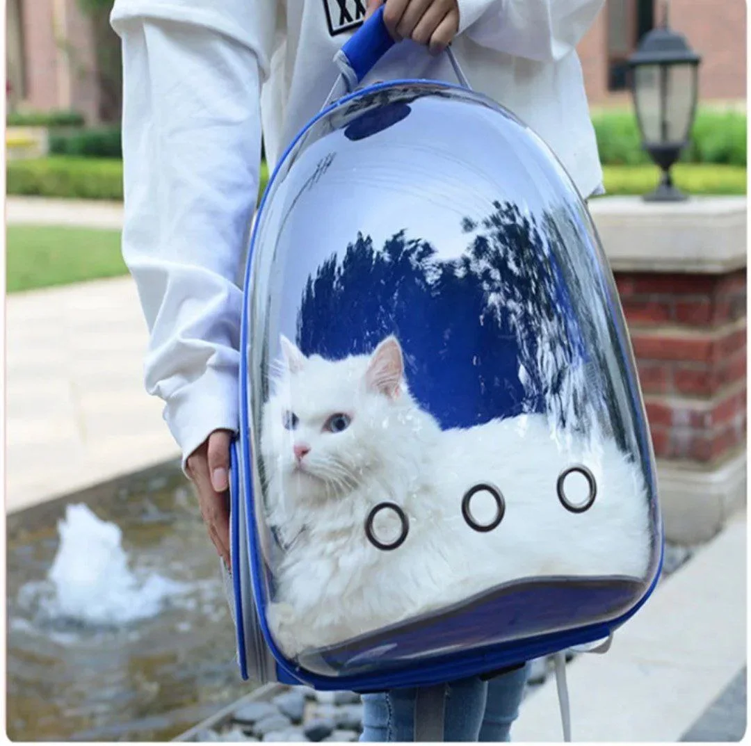 Sac a Dos Chat