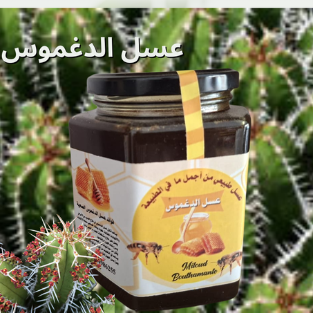 عسل الدغموس من أنواع العسل النادرة والمشهورة في المغرب، ويُعرف بخصائصه العلاجية القوية، خاصة للجهاز التنفسي والمناعة