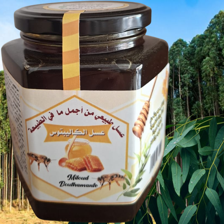 عسل الكاليبتوس ,من الأنواع الغنية بالخصائص العلاجية، خاصة للجهاز التنفسي والمناعة