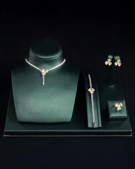 الأكسسوارات