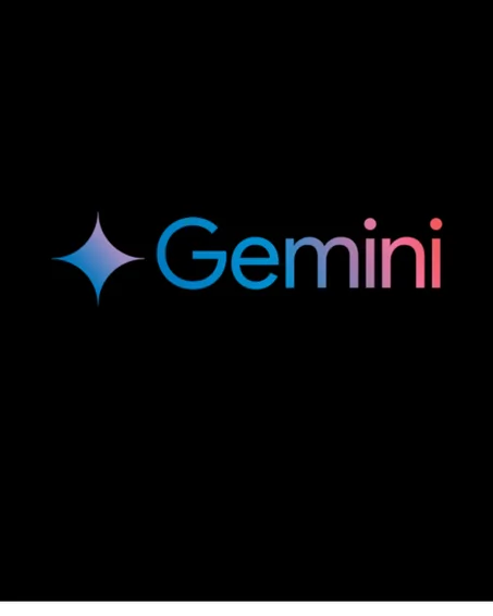 GEMINI PRO