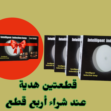 مصباح ذكي بمستشعر حركة وإضاءة – بطارية قابلة للشحن عبر USB