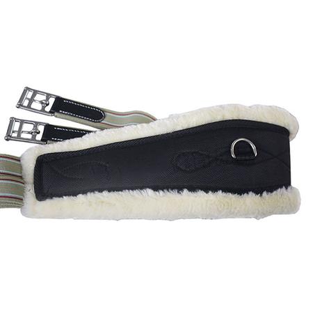 احزمة البطن